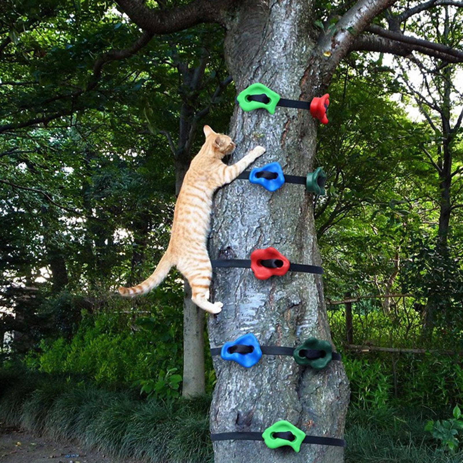 Outdoor Climbing Toys Adjustab - Outdoor Adventure Course ulasan dan harga